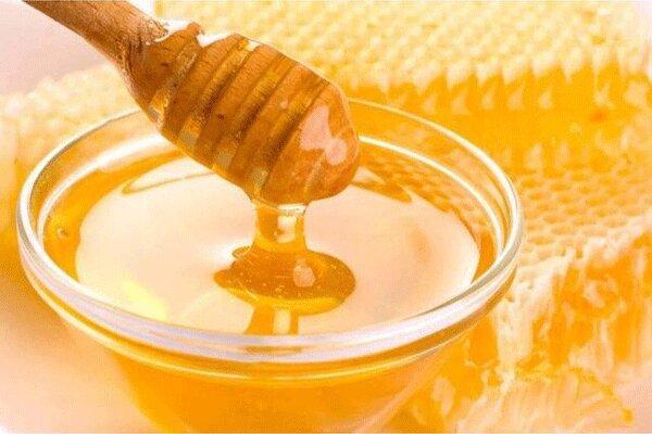 تولید 457 تن عسل درشهرستان ساری