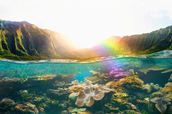 اقدامات زیست محیطی هاوایی برای حفاظت از اقیانوس ها