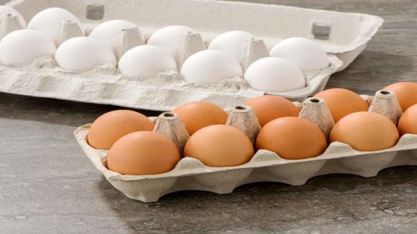 معدوم سازی تخم مرغ های فاسد در گچساران