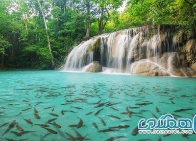 پارک مو کو سورین یکی از پارک های ملی کشور تایلند است